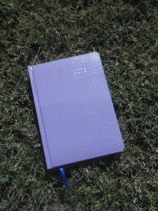 "We will open the book. Its pages are blank. We are going to put words on them ourselves. The book is called Opportunity and its first chapter is New Year's Day." Edith Lovejoy Pierce