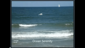 (Click on image to view photo compilation video)