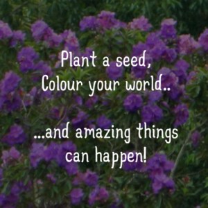 Plant a seed