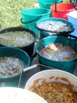 Some of the 'ammo'...mmmm...delicious! haha...