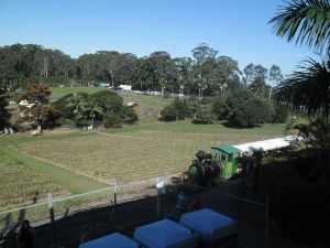The Pineapple Train...this was a first for me too...I had never been on the train before this day! :) 