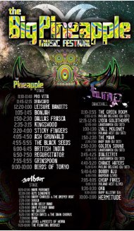 3 stages...music pumping out from each....all day long, into the night - awesome! :D 