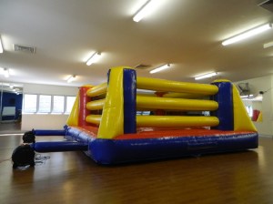 The Bounce House boxing ring - SO much fun! 