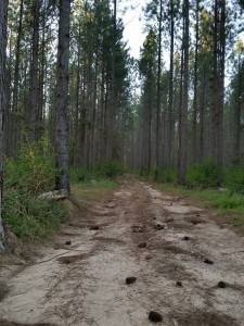 11014835_10207753976149293_4332050693942029358_n